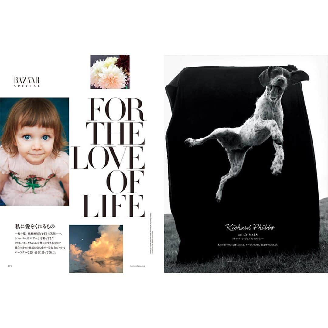Harper's BAZAAR Japanさんのインスタグラム写真 - (Harper's BAZAAR JapanInstagram)「本日発売のハーパーズ バザー9月号のテーマは「Voices of HOPE」。 希望を持つことさえ難しい時期に生きているいま 、多くのアーティストやクリエイターの方々に、それぞれの希望や幸せを作品で表現してもらいました。 ファッションはどんなときも夢や希望を届ける存在。そのことを忘れないための一冊になりました。  The new issue of Harpers BAZAAR Japan is now on sale!  Photo: @mario_sorrenti  #ハーパーズバザー #最新号 #9月号 #ファッション誌 #ファッション #モード #表紙 #カバー #希望 #クリエイション #harpersbazaar #harpersbazaarjapan #fashionmagazine #fashion #septemberissue #cover #covergirl #mode #hope #creative #creation」7月18日 20時00分 - harpersbazaarjapan