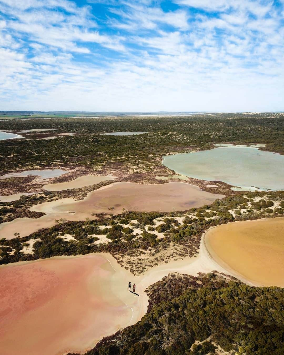 Australiaさんのインスタグラム写真 - (AustraliaInstagram)「Hey Mother Nature, have you been taking secret painting classes? 🎨 @all.about.adventure was awestruck by the vibrant lakes they discovered when exploring @southaustralia. These natural works of art form part of the @eyrepeninsula’s Lake Newland Conservation Park, which is a seven-hour drive from Adelaide. This park features the most extensive wetland on the Eyre Peninsula, with vast natural saline lakes and freshwater springs that are a photographer’s dream. Tag a friend you’d like to visit here with when travel permits! #seeaustralia #seesouthaustralia #eyrepeninsula」7月18日 20時00分 - australia