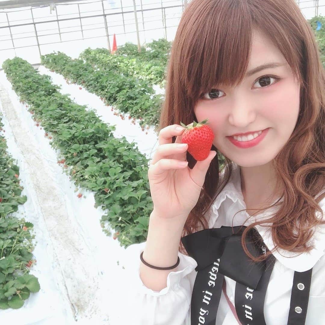 入江綾乃のインスタグラム：「. . . . 果物狩り行きたいなぁ . . . #いちご狩り #いちご #声優 #俳優 #アクトレスガールズ #カメラ #撮影モデル #被写体 #ファインダー越しの私の世界 #ファッション #お洒落さんと繋がりたい #写真撮ってる人と繋がりたい #love #instagood #photooftheday #fashion #beauty #happy #cute #selfie #follow #camera #photography #photo #prowrestling #instalike」
