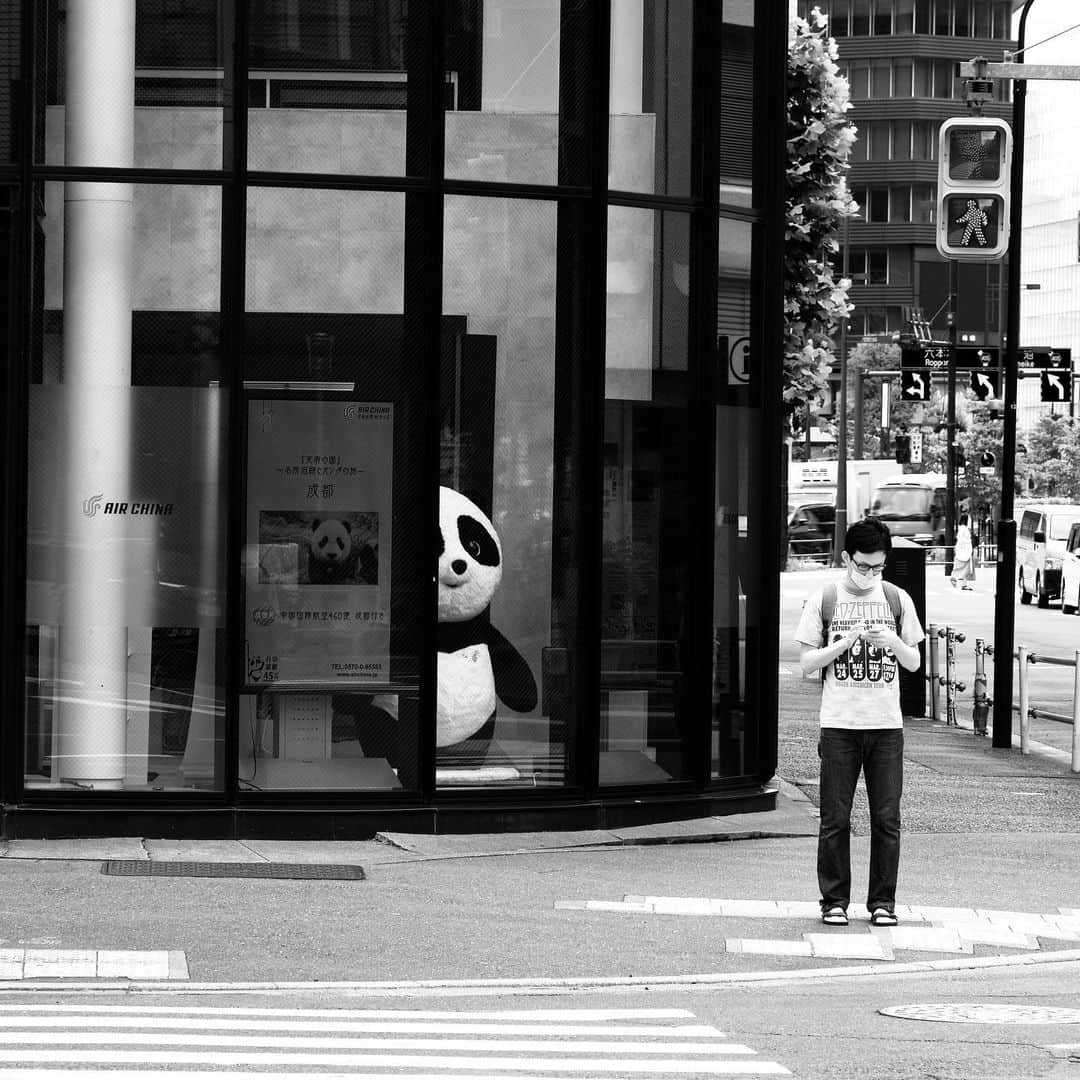 naotakeのインスタグラム：「青信号 - A green light / X-T2 & Snapseed, 20200719 . . 昼に食べたテイクアウトのキーマ・カレーが美味しくて幸せ。 . . #spicollective #royalsnappingartists #infamous_family #rsa_main #infinity_photo_cult #2_fineart #jp_gallery_member #jp_gallery_bnw #trb_bnw #wp_bnw  #bnw_life #bnwlife_member #bnw_life_shots #bnw_captures #world_bnw #top_bnw #team_jp_ #team_jp_モノクロ #ig_energy_bw #ig_nihon #streetphotographybnw #igersjp #blackandwhite #bnw #bnwphoto #monochrome #bw #bnwphotography #今日もx日和 #fujifilm」