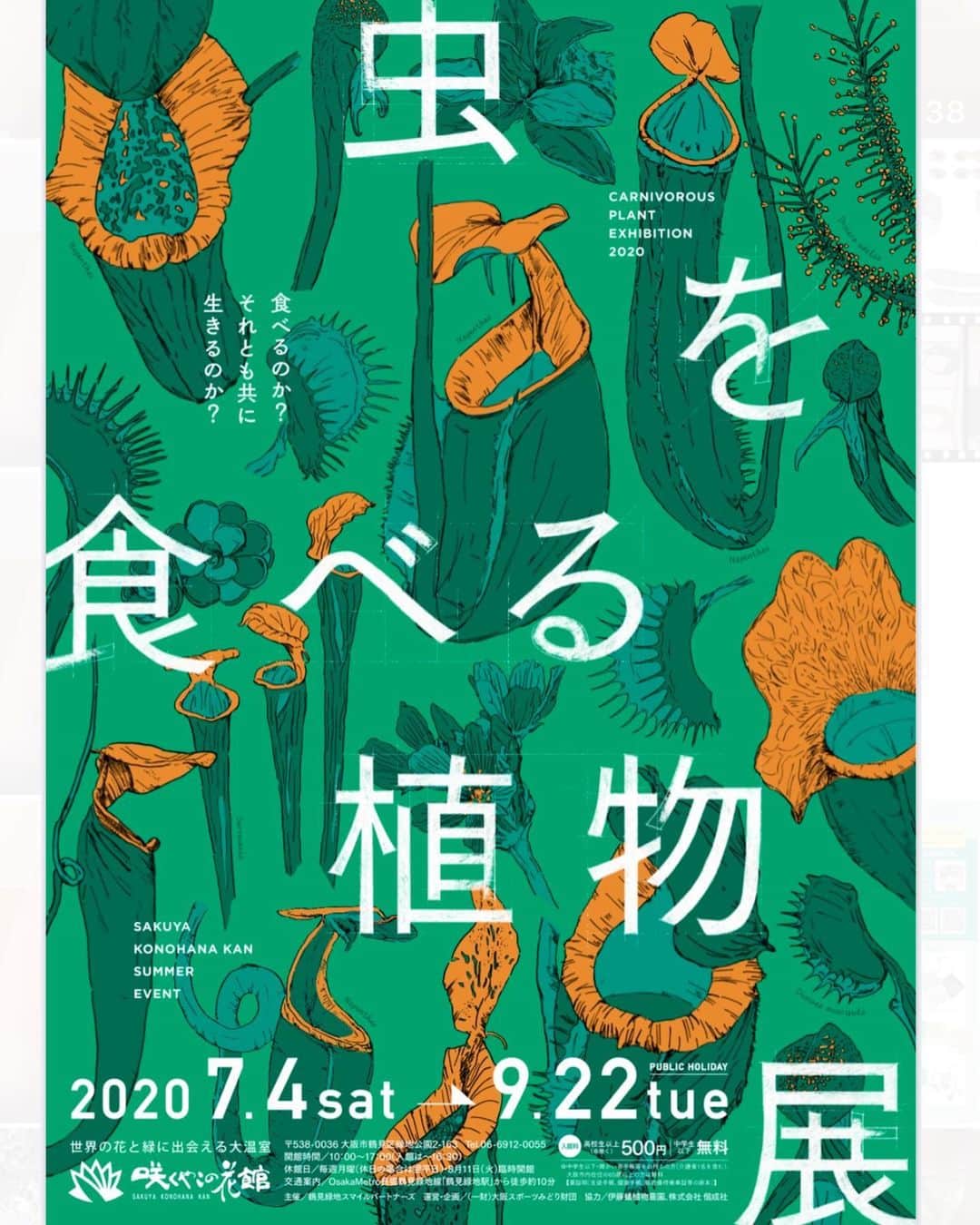 しんらしんげさんのインスタグラム写真 - (しんらしんげInstagram)「紙コップで食虫植物の漫画を作りました。9月22日まで咲くやこの花館で［虫を食べる植物展］が開催されてます。色々な食虫植物が見れますので是非お越し下さい。#PR #宣伝　#食虫植物　#ハエトリソウ　#モウセンゴケ　#ウツボカズラ」7月18日 18時32分 - shin.2580