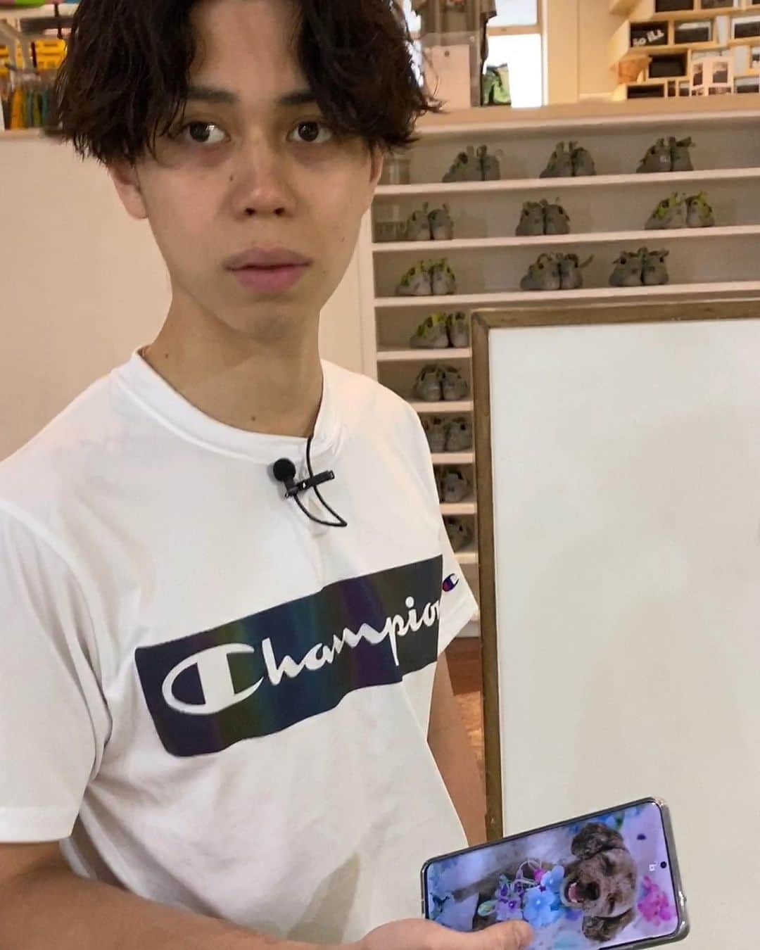 日本テレビ「POWERフレーズ」さんのインスタグラム写真 - (日本テレビ「POWERフレーズ」Instagram)「#クライミング #原田海 選手の POWERフォトがこちら！  大阪の実家で飼っている愛犬のトリミング後のお写真！ かわいい🥺❤️ カットする度にお母さまが送ってくれるそうで 届くと必ず待ち受けに😏 お名前は「ムーン」！ これだけかわいいと確かに会いたくなりますね😣🔥✨ 原田選手の POWER フレーズ後編は 19 日夜 6：55～  #スポーツクライミング #sportclimbing  #ボルダリング #bouldering #世界チャンピオン #東京五輪 #新競技 #ボルダリング・リード・スピード複合 #combined #東京 2020 #オリンピック #メダル候補 #TOKYO2020 #Olympic #POWER フレーズ #日テレ #ntv」7月18日 18時42分 - power_phrase_ntv