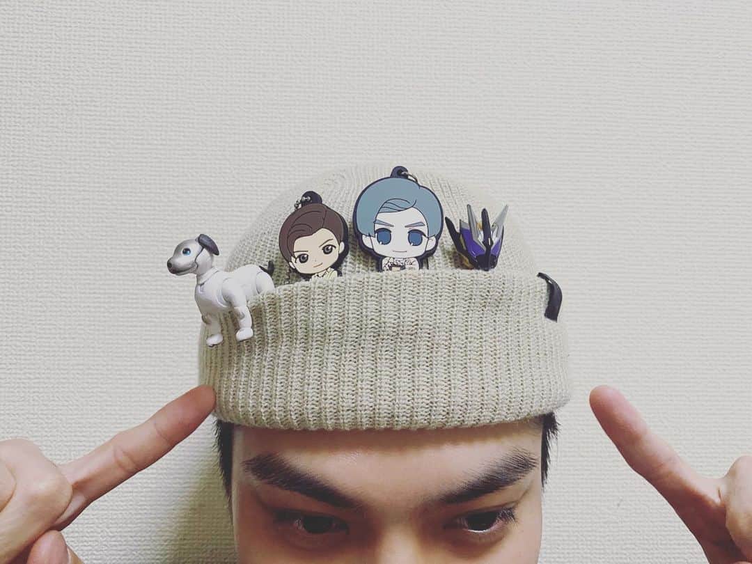 のインスタグラム：「かわいいので、入れたらフィットしました。」