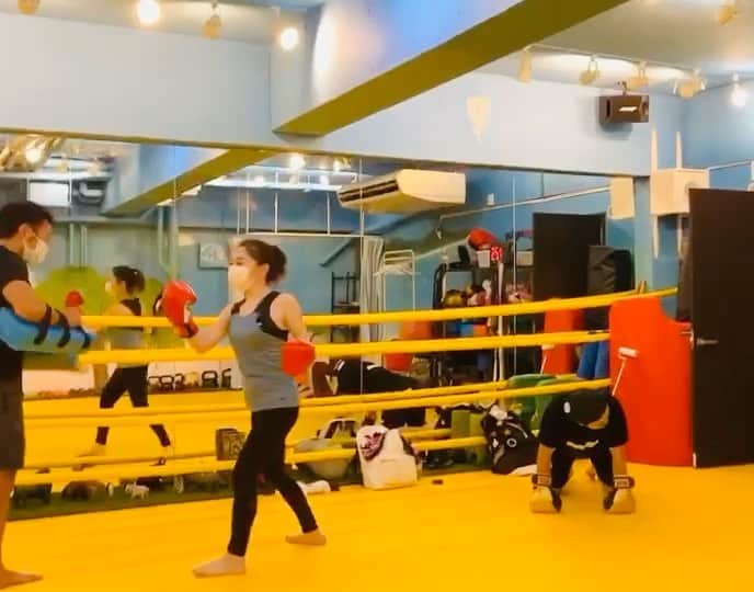 柑谷あゆみのグルメインスタ