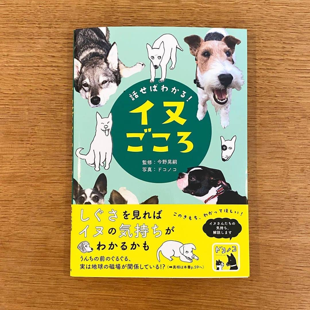 服部円さんのインスタグラム写真 - (服部円Instagram)「ネコ研究集団CAMP NYAN TOKYOが監修した小学生向けの🐈本が出ました！私は執筆も担当させていただきました。写真はドコノコさんから。スカイも投稿して載せてもらえました🤗 実はイヌ版もあります🐕　ネコやイヌを飼っている、または買いたいなと思っているお子さんがいたらぜひ！ #話せばわかるネコごころ  #話せばわかるイヌごころ #ポプラ社 #服部読書 #スー吉」7月18日 12時01分 - madokahattori