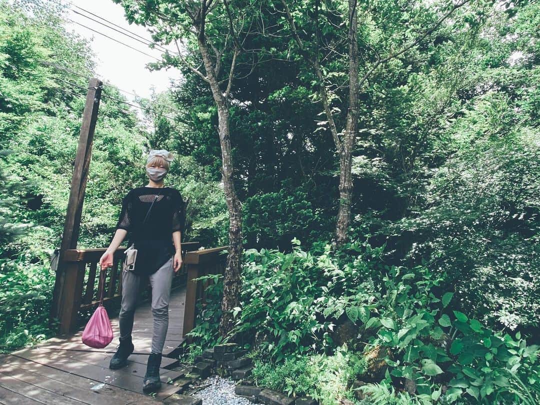 藤田敦子のインスタグラム：「ㅤㅤㅤ  I went for a walk in the forest🌲 ㅤㅤㅤ 呼吸したくなる緑緑緑🌱 ㅤㅤㅤ 頭が全体的に布で覆われすぎている件…😷」