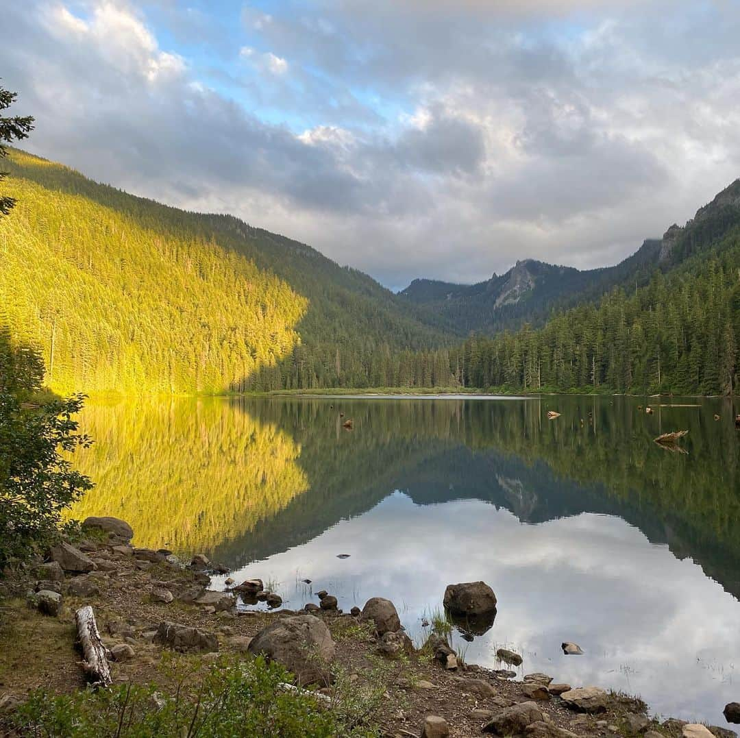 レイン・ウィルソンさんのインスタグラム写真 - (レイン・ウィルソンInstagram)「The many views of Mt Jefferson...」7月18日 12時23分 - rainnwilson