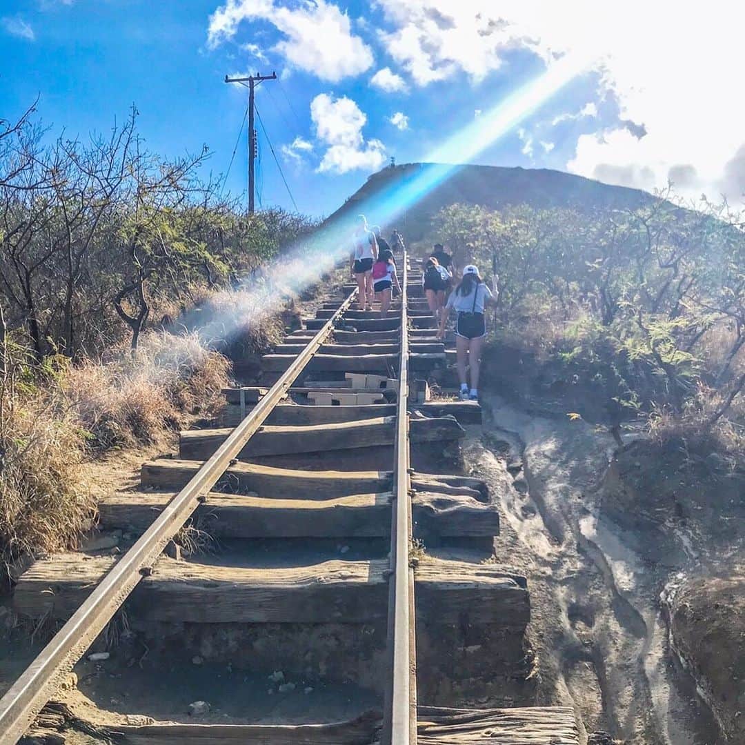 Kujira Clubさんのインスタグラム写真 - (Kujira ClubInstagram)「✳︎ 今日のハワイ。 Happy Aloha Friday! ハナウマ湾側にあるココヘッドトレイル登る途中。 一直線に頂上まで道？線路？階段？が続きます。 登るのも大変ですが、下りはもっと大変です。 ✳︎ 現在、くじら倶楽部ではハワイ・タイムシェアセミナー(無料)をZoom(オンライン)にて開催しています。 セミナーテーマは色々ご用意しています。 タイムシェア初心者から既に所有されてる方までお気軽にどうぞ。 詳しくはくじら倶楽部ホームページ、セミナーのバナーより内容の確認、お申込み下さい。 ✳︎ #くじら倶楽部 #kujiraclub #ハワイ  #ヒルトンハワイアンビレッジ #タイムシェア #ワイキキ #インスタハワイ #ハワイ好きと繋がりたい #マリオットコオリナビーチクラブ #アウラニディズニー #再販 #不動産仲介 #ハワイ不動産　#今日のハワイ #ハワイ大好き #ココヘッド #ココヘッドトレイル」7月18日 13時17分 - kujiraclub