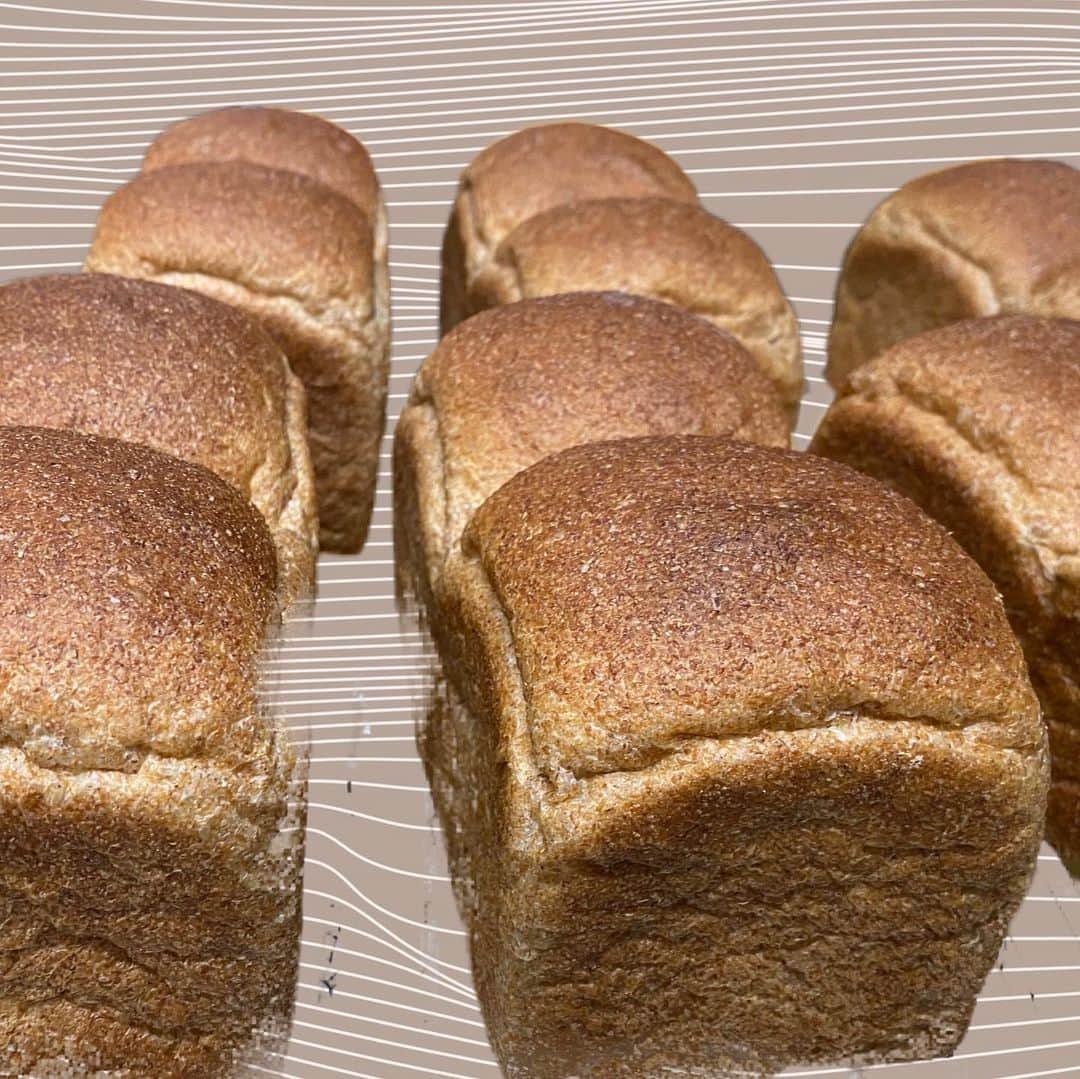 魔女菅原のグルメインスタ