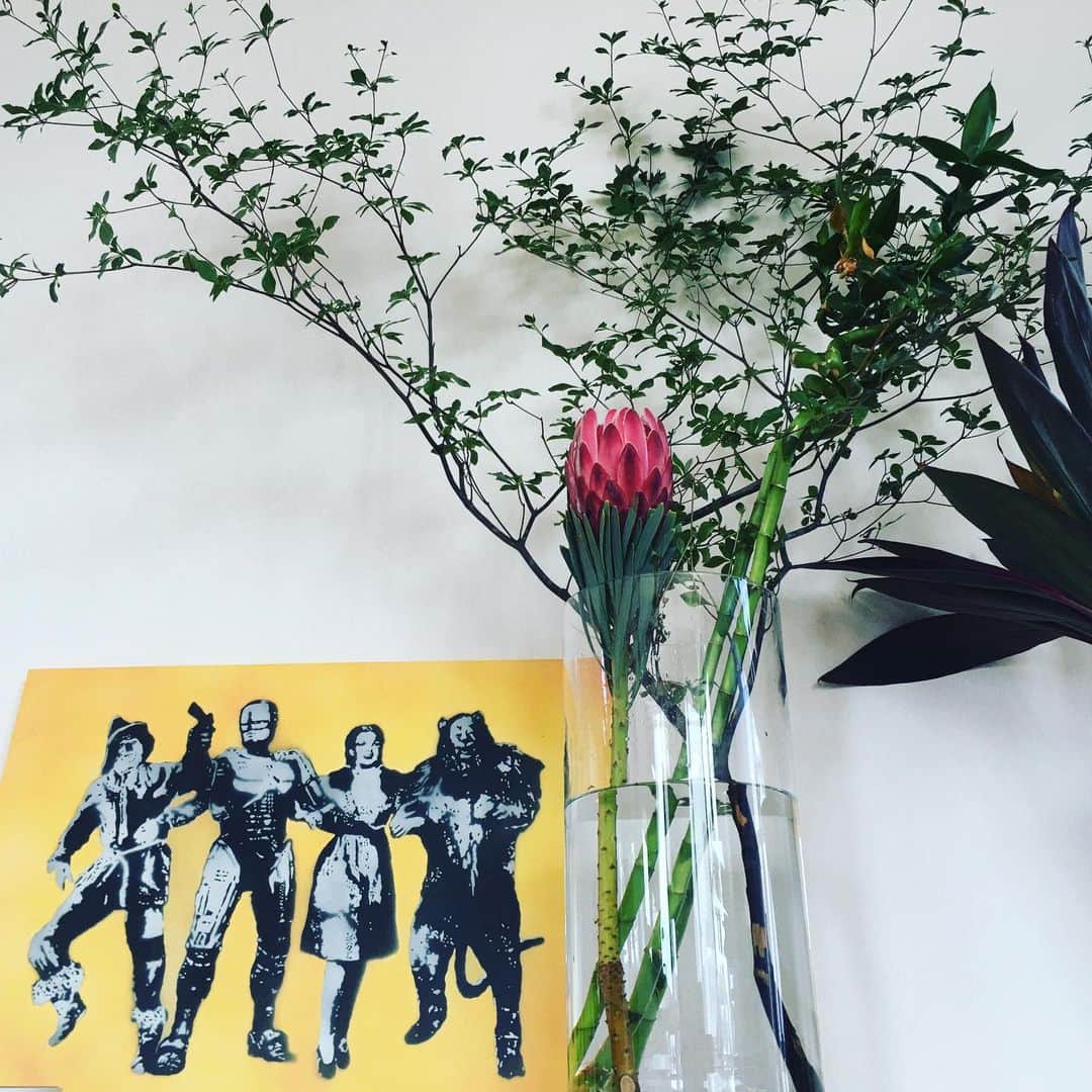 宮田麺児のインスタグラム：「花瓶で色々　生けてみるけど 最強の　生けは　田植えやな。  #生け花  #田植え」