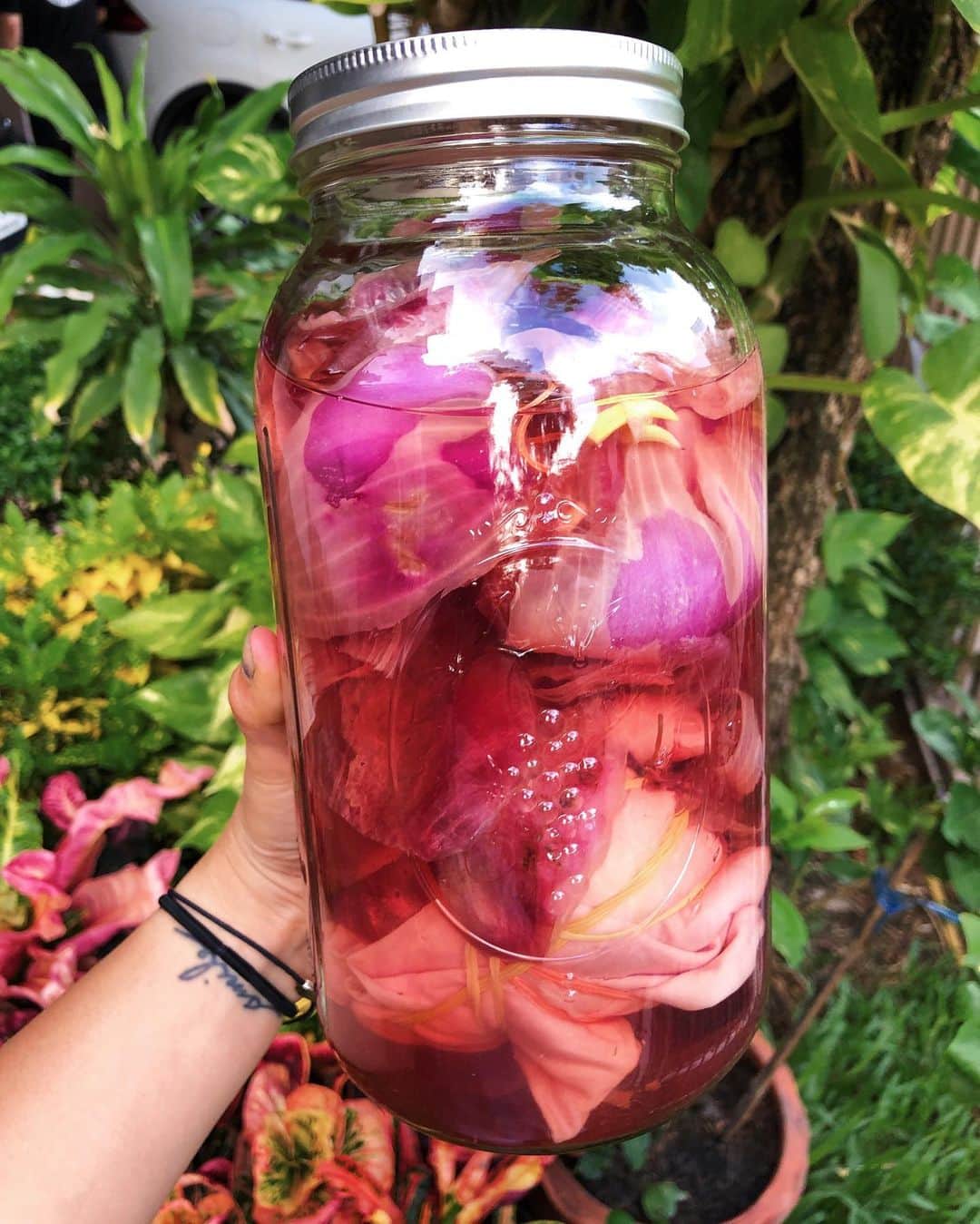 Amata Chittaseneeさんのインスタグラム写真 - (Amata ChittaseneeInstagram)「Natural Dye experiment 10: ☀️ Solar dye with Red Onion skins 🧅 ลองย้อมผ้าด้วยเปลือกหัวหอมแดงจากครัว โดยใช้แค่พลังงานแสงพระอาทิตย์ ทิ้งไว้ประมาณ 2-3 วัน เปิดออกมาได้สีชมพูอ่อนๆ ดีที่ได้ทดลอง อาจจะไม่สวยที่สุด แต่ก็น่ารักดี 🥰 #pearypiegoesgreen #solardyeing #onionskin #naturaldyes #unknowntogether」7月18日 14時10分 - pearypie