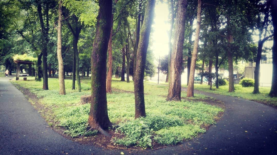 伊藤修子さんのインスタグラム写真 - (伊藤修子Instagram)「魯肉飯持ち帰り、公園を探してグルグル歩いていましたが以前住んでいた近くに来ました。雨で座るところがなく立ち食いでした。」7月18日 14時19分 - itoshuko