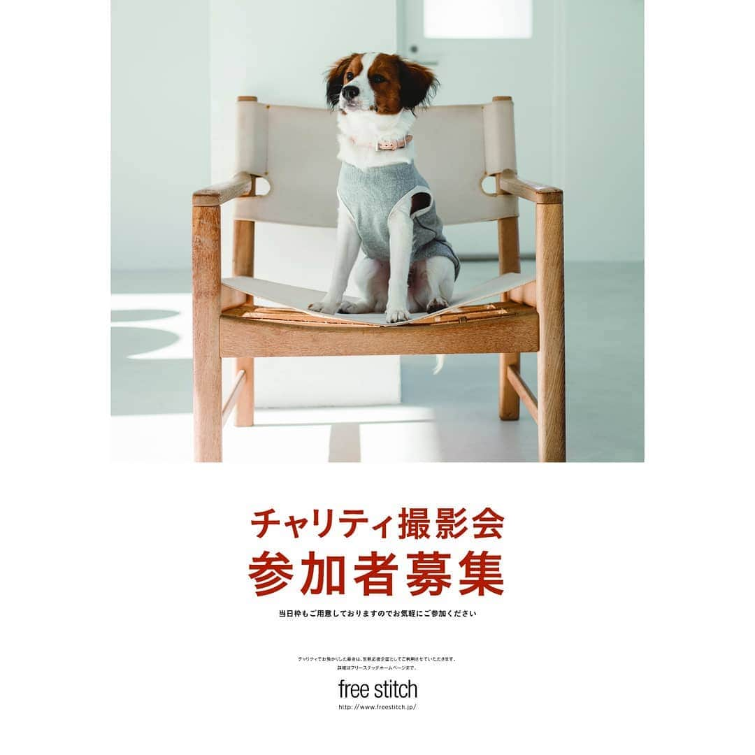 Photo Studio178さんのインスタグラム写真 - (Photo Studio178Instagram)「“より豊かな暮らしを愛犬と！“⁣ ⁣ free stitchさんによる⁣ ワンちゃんチャリティー撮影会の⁣ お知らせです🐶⁣ ⁣ 詳細はタグ付け先から⁣ ご確認くださいませ🔜⁣ ⁣  ✽.｡.:*・ ✽.｡.:**⁣ ⁣ 普段はペットとの撮影も可能な⁣ フォトスタジオです◎⁣ https://17hachi.com⁣ ⁣ 【詳細】⁣ 日時:9/5(土)10:00〜19:00⁣ 参加費:チャリティ代として3,000円(税込)⁣ 撮影内容:約10分、最大4カット⁣ 場所:Photo Studio 178⁣ ⁣ #犬 #いぬ部⁣ #photography⁣ #いぬすたぐらむ⁣ #写真スタジオ #ペット⁣ #ペット撮影 #撮影会⁣ ⁣ #freestitch⁣ #instadog #lifewithdog⁣ #doggoods⁣ ⁣ #dogstagram⁣ #dog #lovedogs⁣ #doglover ⁣ #family⁣ ⁣ #成長記録 ⁣ #家族写真 #記念撮影 ⁣ #江東区 #中央区 ⁣ #東京 #月島 #勝どき #豊洲⁣ #晴海」7月18日 14時44分 - photo_studio_178