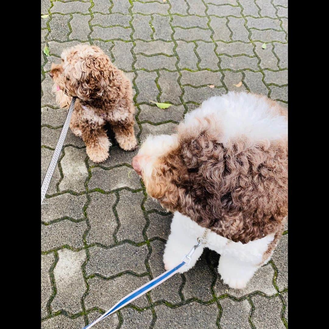 木村拓哉さんのインスタグラム写真 - (木村拓哉Instagram)「﻿ ﻿ 「雨が上がった途端に……出動‼︎﻿ 湿度100%だと、気温が低くても汗だく💦💦です。」﻿ ﻿ STAY SAFE‼︎﻿ ﻿ 拓哉﻿ #木村拓哉#TakuyaKimura」7月18日 15時00分 - takuya.kimura_tak