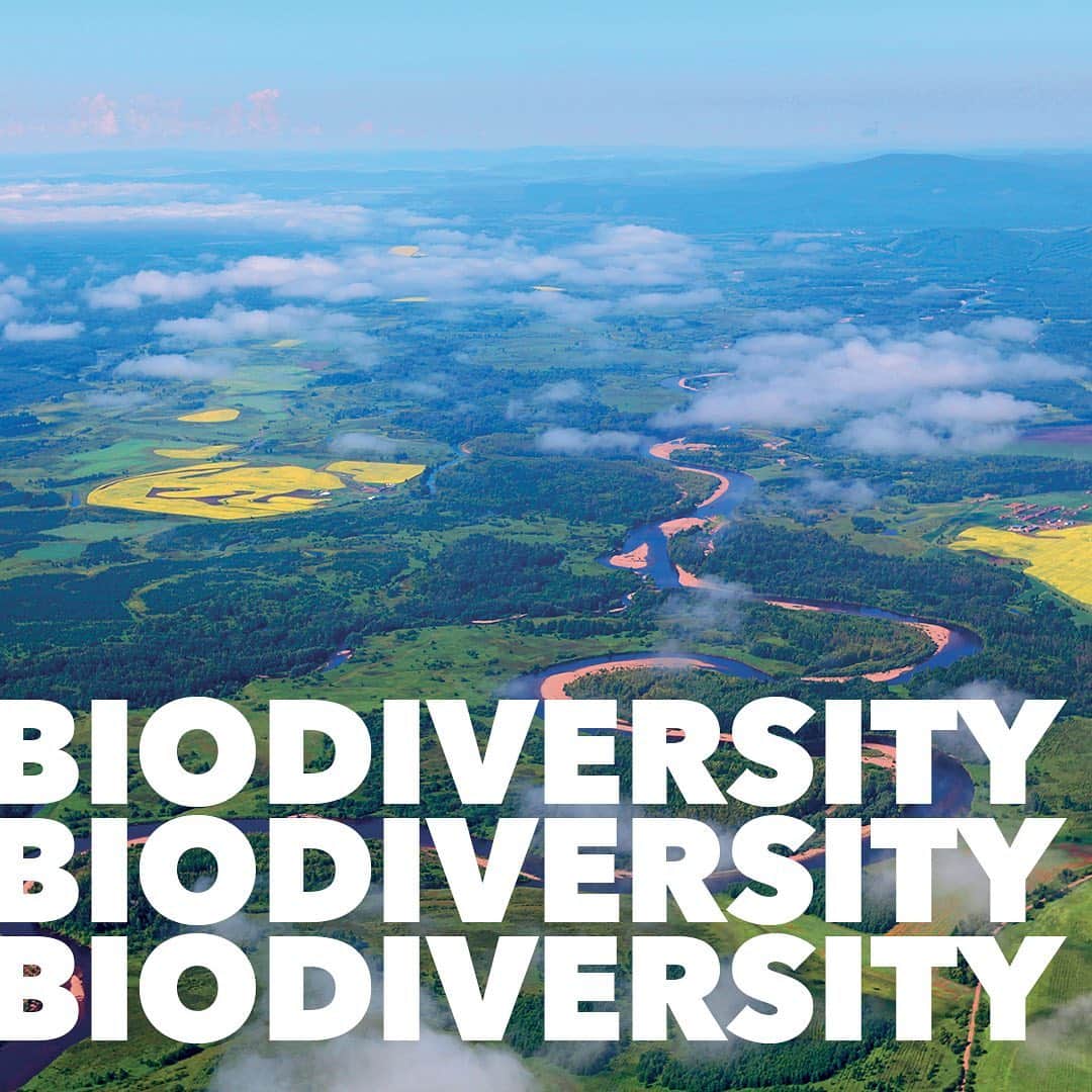のインスタグラム：「On the occasion of the release of the Group’s Environmental Responsibility Report (link in bio), LVMH and its Maisons reaffirm their commitment to spearhead environmental excellence.  In 2019, the Group became partner of the UNESCO’s « Man and the Biosphere » (MAB) program that aims to facilitate international cooperation to achieve a number of objectives including protecting biodiversity and promoting innnovative, interdisciplinary approaches to economic development that are socially and culturally appropriate and environmentally sustainable.  The program is implemented through a vast network, with 701 biosphere reserves in 124 countries around the world, used as learning places to test new approaches.  LVMH and its Maisons harness this network and UNESCO’s scientific expertise to develop sustainable sourcing channels that benefit the local communities and economies involved.  #LVMH #UNESCO #Biodiversity」