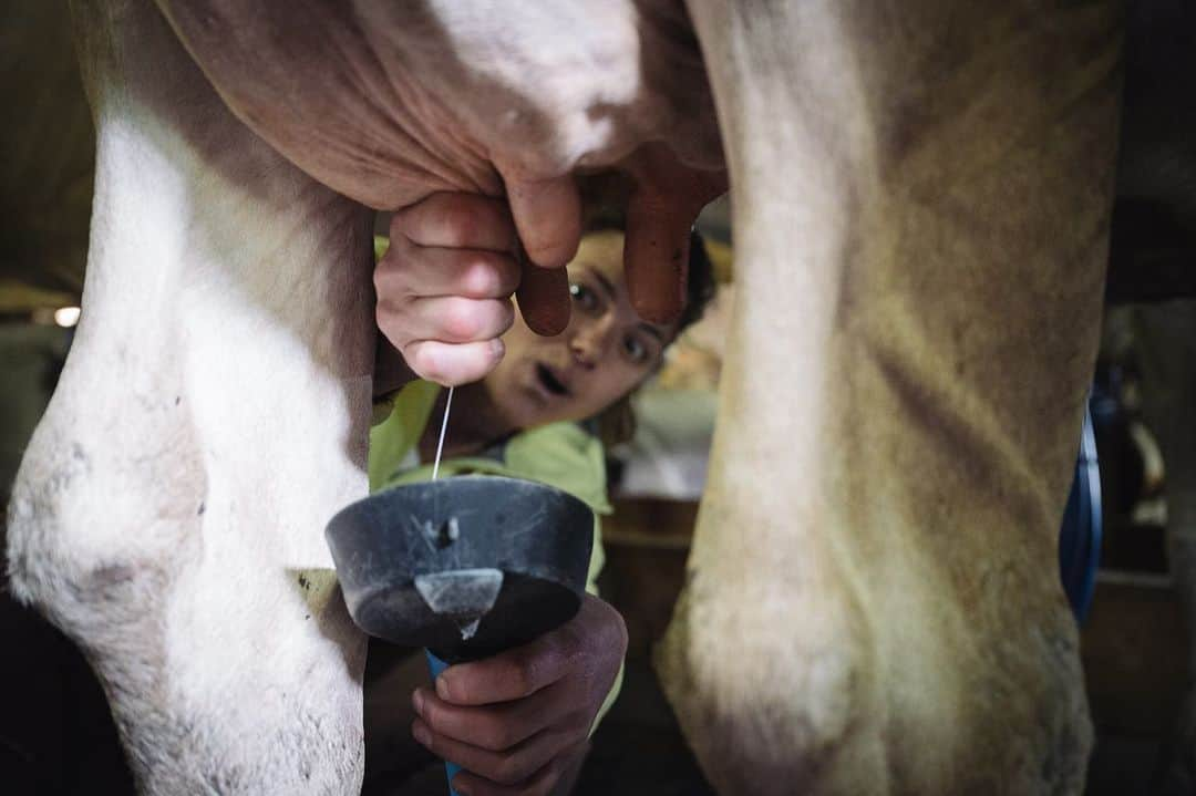 ニナ・カプレツさんのインスタグラム写真 - (ニナ・カプレツInstagram)「I am what I eat: I grew up on a farm, surrounded by cows and apple trees. All my life I’ve payed attention on eating locally and fresh. I know how real food smells and tastes like. Beside of having a very healthy body, I’m simply proud of supporting those people who still produces in a simple and authentic way. I encourage my followers to listen to their body but also to think a little bit more about sustainability, fair trade and organic.  Huge thank to @schweizer_alpkaese and Grüscher älpli for their support for the wogu project and to @gebana.official and @hard.bar for their long therm partnership.  #letschangetherules   📸 @marc_daviet   @schweizer_alpkaese @gebana.official @praettigau.ch @arcteryx @julbo_eyewear」7月18日 16時25分 - ninacaprez