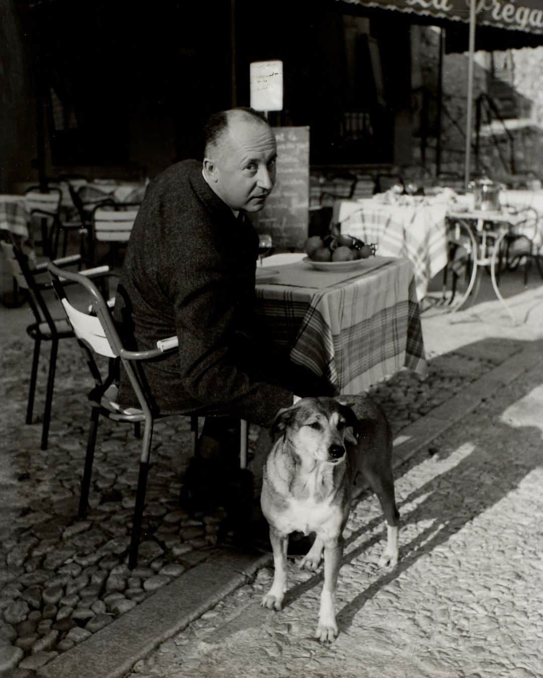 クリスチャンディオールさんのインスタグラム写真 - (クリスチャンディオールInstagram)「Dogs were a recurring and treasured element of Monsieur Dior's life: from Sandale to Papillon, who lived with his father at Callian, and Mirza, a wolfdog residing at the Château de la Colle Noire, the founding couturier's estate in the south of France, which his sister Catherine adopted after his death. But among them all, Bobby was Monsieur Dior's favorite, a beloved companion to whom he would pay tribute numerous times in his career. We invite you to discover this unexpected and touching tale in stories. #DiorHeritage © AGIP Bridgeman Images © Droits Réservés」7月18日 17時01分 - dior