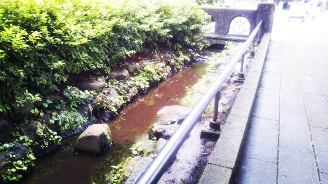 伊藤修子さんのインスタグラム写真 - (伊藤修子Instagram)「緑道通ったりして歩き疲れました。」7月18日 17時18分 - itoshuko