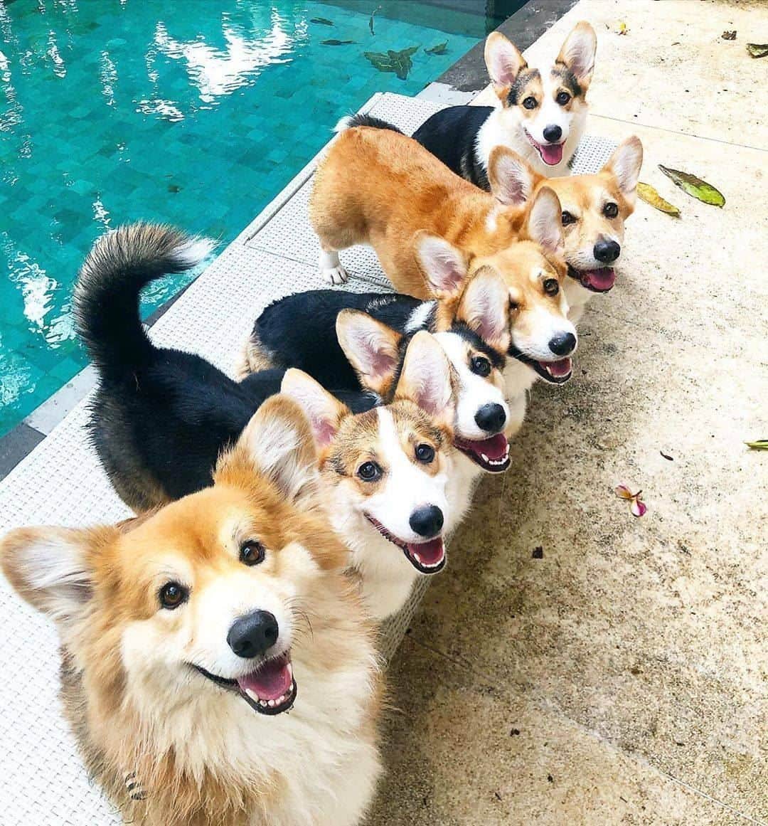 8crapのインスタグラム