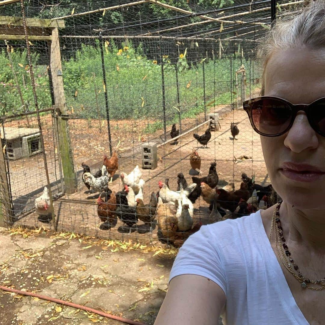 サンドラ・バーンハードさんのインスタグラム写真 - (サンドラ・バーンハードInstagram)「Out at @isabellarossellini groovy farm beautiful organic produce eggs with the fabulous #PattyGentry #earlygirlfarm a break in the action」7月19日 4時16分 - sandragbernhard