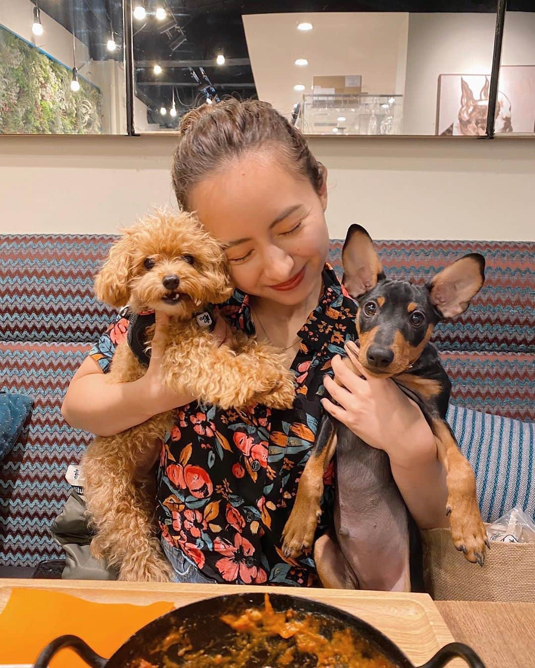 Julia Castroさんのインスタグラム写真 - (Julia CastroInstagram)「ジャックがお散歩に行ける様になりましたー🐶🧡🧡🧡 これで皆んなで色んなところに行けるねっ わんちゃんと行けるオススメスポット教えてください！ 今日のYouTubeは可愛いジャックの初散歩動画なので是非見てね♡ . #Noelくん #Jackくん #minipin #miniturepinscher  #maltipoo #maltese  #toypoodle #dogstagram #dogcafe #dog #mybaby #cute #sweet #family #散歩 #散歩デビュー #ミニピン #マルプー #ミニチュアピンシャー #家族 #愛犬 #兄弟 #ドッグカフェ #代々木」7月18日 20時58分 - julia.c.0209