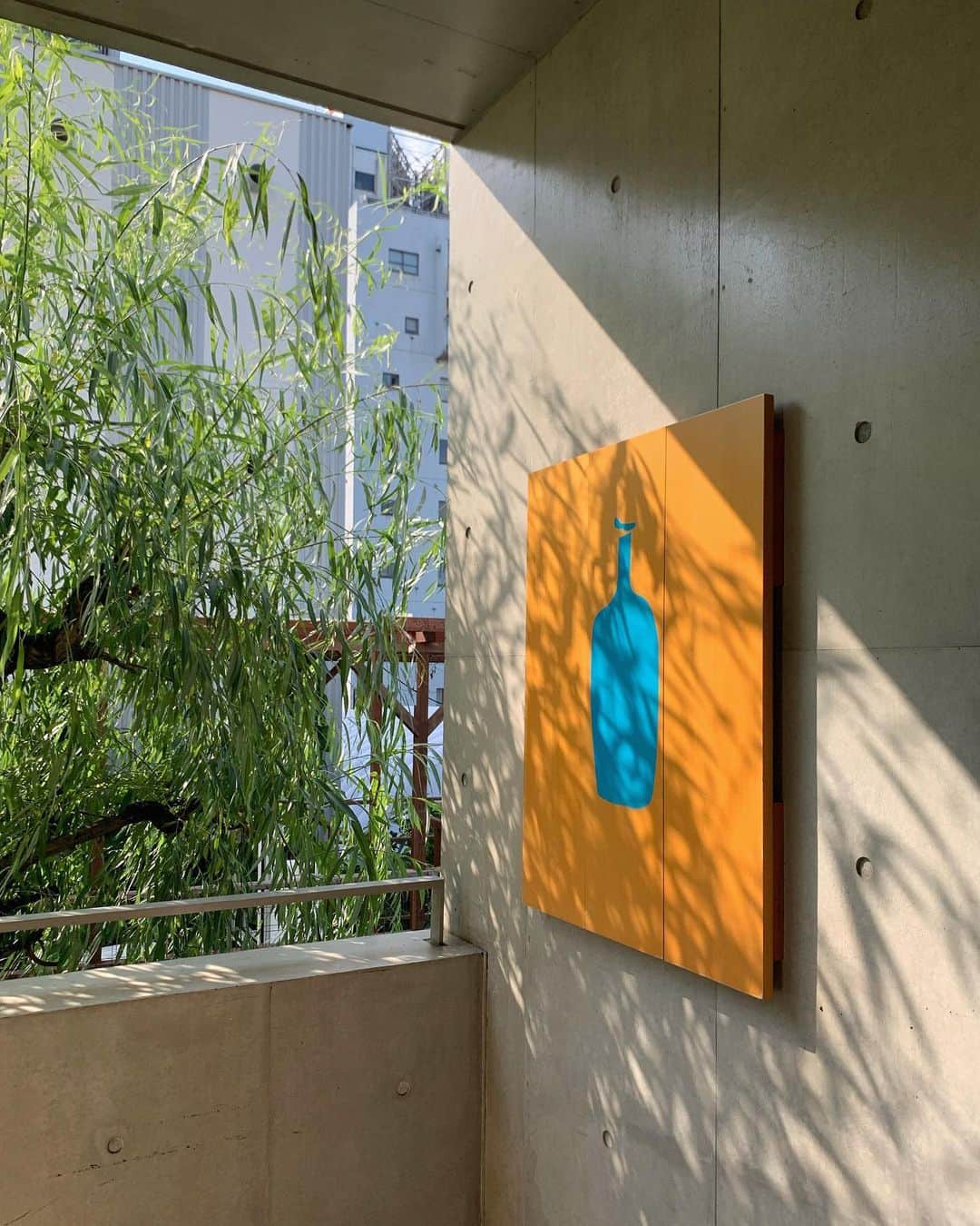 大坪はるらのグルメインスタ