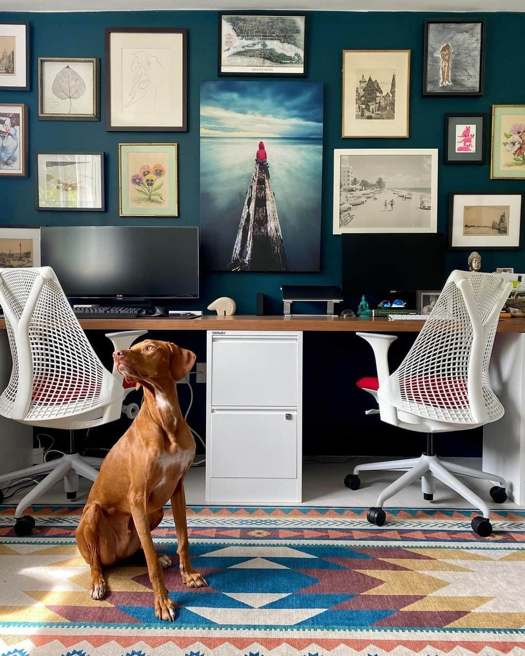 Herman Miller （ハーマンミラー）さんのインスタグラム写真 - (Herman Miller （ハーマンミラー）Instagram)「Sometimes all the support you need while working from home is your best fur friend. But when it comes to ergonomic support during the workday, Herman Miller's lineup of office chairs—like the Sayl Chair—will literally have your back. Get yours today for 15% off. #DogDaysofSummer 📸 : @efecreativelab」7月18日 23時00分 - hermanmiller