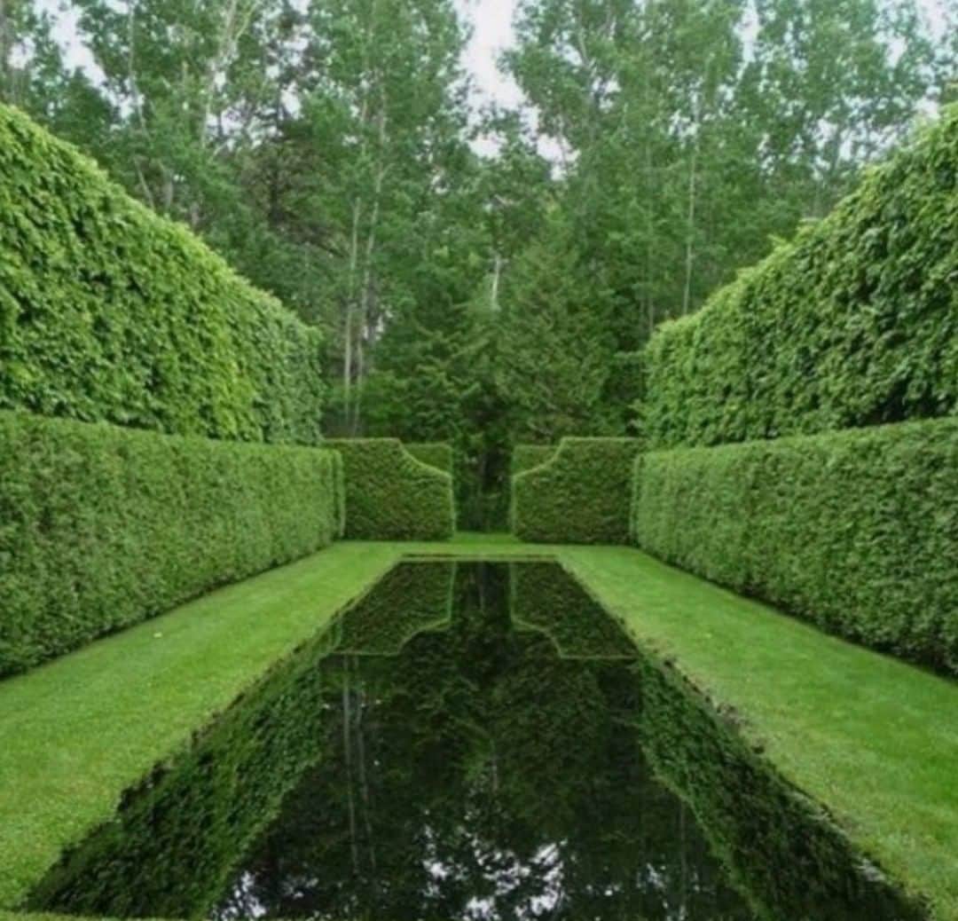 のインスタグラム：「Summer symmetry.」