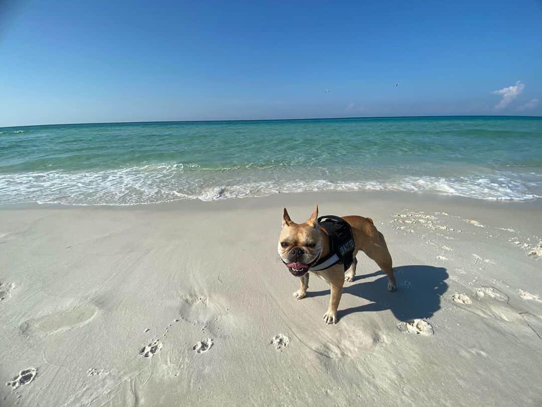 のインスタグラム：「Like Jamaica with the music pure vibes it a bring」