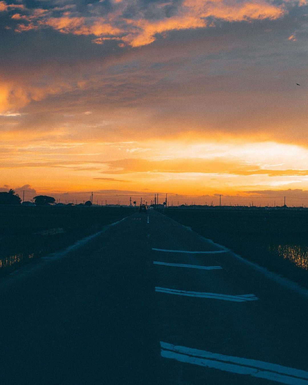 山中海輝のインスタグラム：「畑道に車停めてずっと夕陽見てる奴おったらそりゃ猫も気になって見にくるよなー 久しぶりに見れた夕陽は特別でした。  #静岡　7/16」