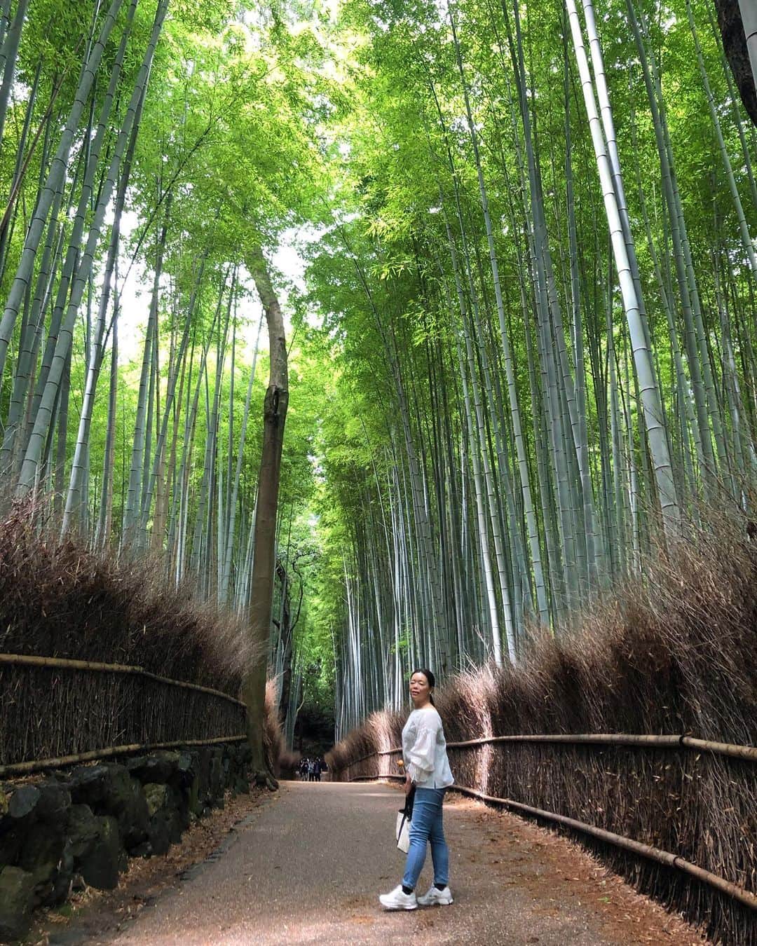 川原由維さんのインスタグラム写真 - (川原由維Instagram)「嵐山　竹林之道  幻想的でマイナスイオンたっぷりでした。  素敵な空間。」7月18日 23時37分 - yui5520