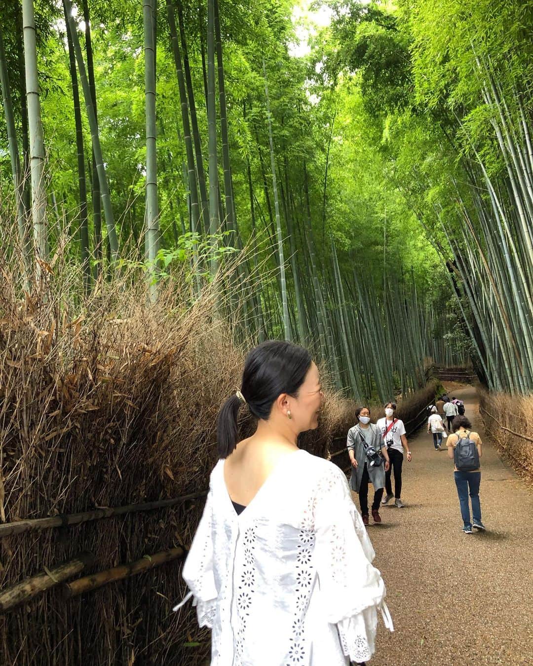 川原由維さんのインスタグラム写真 - (川原由維Instagram)「嵐山　竹林之道  幻想的でマイナスイオンたっぷりでした。  素敵な空間。」7月18日 23時37分 - yui5520