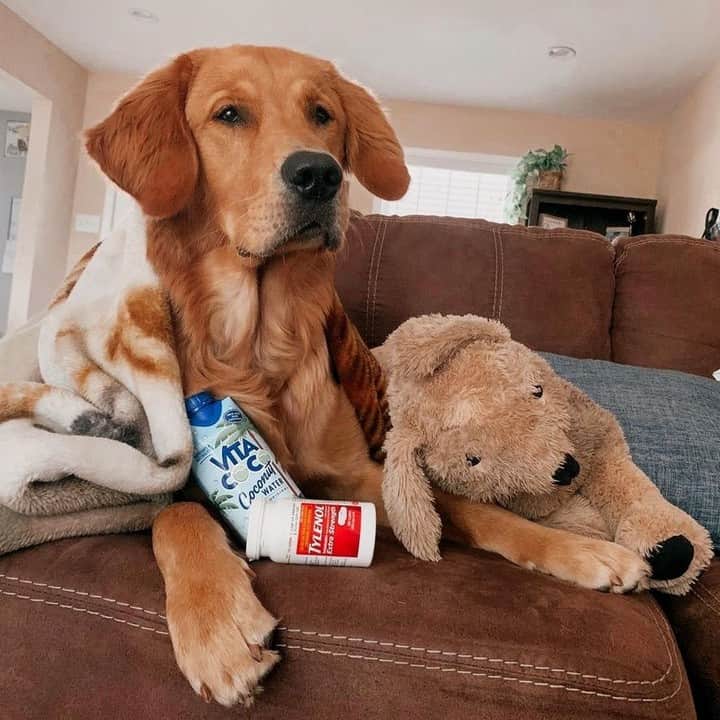 Vita Coco Coconut Waterのインスタグラム：「Waking up after a few too many glasses of wine like:」