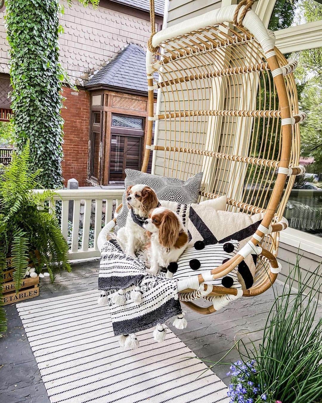 のインスタグラム：「Saturdays are for porch swings ☀️ (📸: @tatertotsandjello)」
