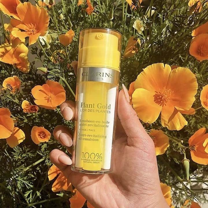 ClarinsUKさんのインスタグラム写真 - (ClarinsUKInstagram)「Our Plant Gold won the Mighty Moisturiser Award in the @graziauk Summer Beauty Awards 2020! 💛  "Oh yes, oh yes, oh yes. Clarins, you've truly outdone yourself with this one. Featuring an oil in one chamber and a lotion in another, the silky emulsified texture delivers a hefty hit of lightweight hydration thanks to natural plant extracts that are rich in fatty acids. It works wonders under make-up, too." @graziauk  Have you tried it? ✨  📷: @maieesun #PlantGold #ClarinsSkinCare #SummerBeauty」7月19日 1時02分 - clarinsuk