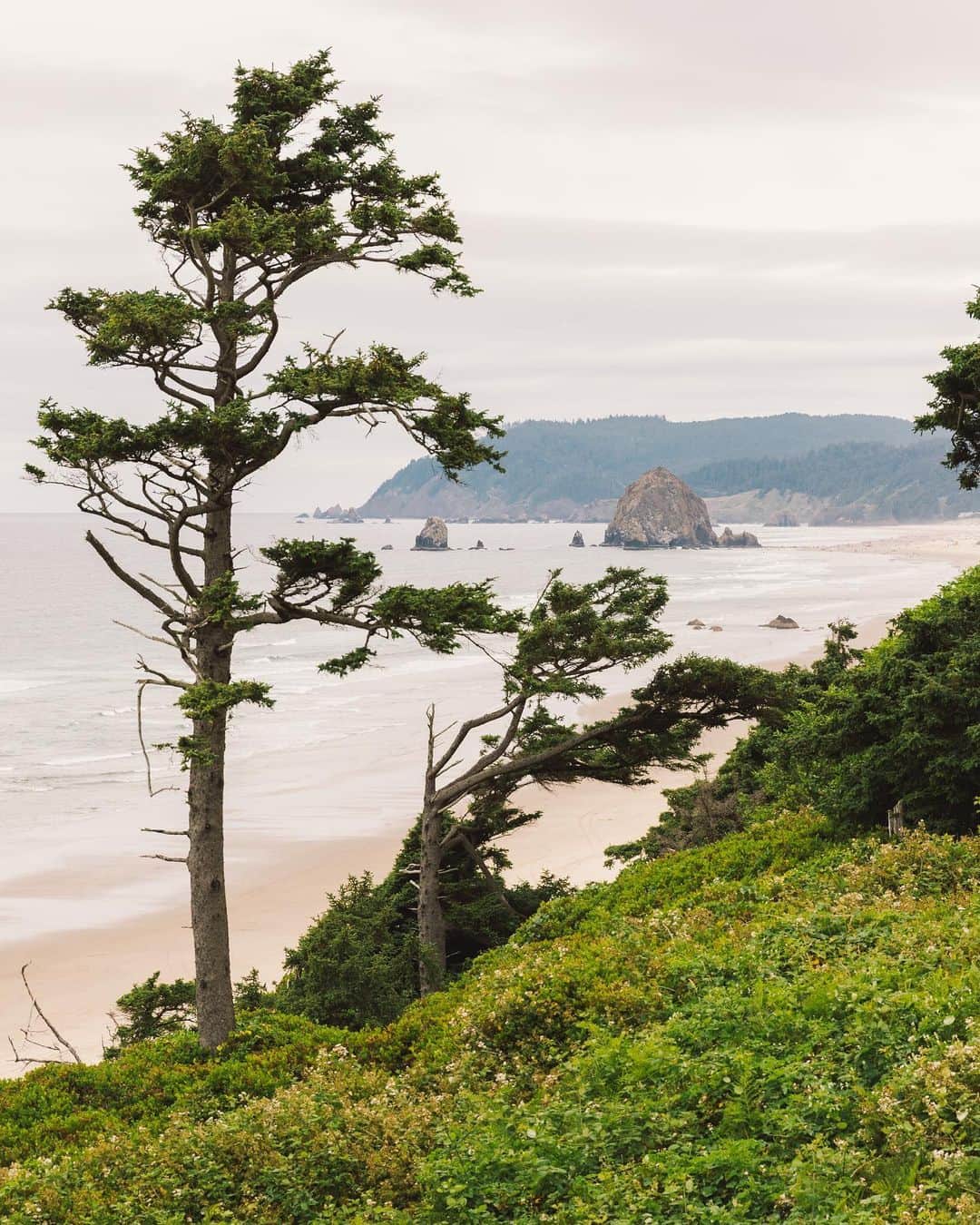 のインスタグラム：「Famed for its sandstone formations and sea stacks, the drama of Oregon’s coastline is hard to miss. During our visit, we found these sites particularly noteworthy. . . . . 1. Viewing Canon Beach and Ecola Park from the South. 2. Jockey Cap, a prominent sea stack and home to hundreds of sea gulls. 3. and 4. Sandstone formations at Hug Point. 5. Fir trees inland from the coast. 6. Fall Creek and sandstone caves at Hug Point. 7. A barnacle covered boulder at low tide.」