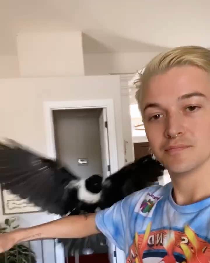 Ghastlyのインスタグラム：「Day 3: Edgar has accepted me into the murder (term for group of crows) and now flys to me on command」