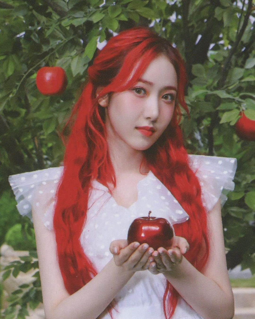 シンビさんのインスタグラム写真 - (シンビInstagram)「[SCAN] G-Friend "回:Song of the Sirens" Album Photocards cre; owner」7月19日 2時46分 - sinb_gfriend