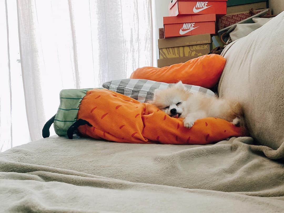 r_oseのインスタグラム：「Sunday goal : achieved!🐰🥕〰️」