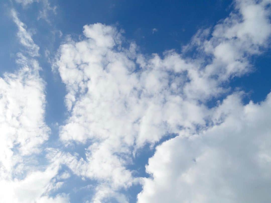 尾崎ありささんのインスタグラム写真 - (尾崎ありさInstagram)「久しぶりの晴れ☀️ ﻿ ﻿  ﻿ #空 #空が好きな人と繋がりたい #雲 #空好き #風景 #sky #bluesky #skylovers #skyporn #cloud #写真好きな人と繋がりたい #青空 #そら #awesome #landscape #景色  #green #earth #nature #naturephotography #naturelovers #naturelover #sunny」7月19日 14時07分 - also1219