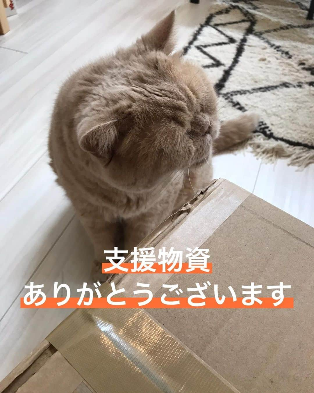 濱中鮎子のインスタグラム