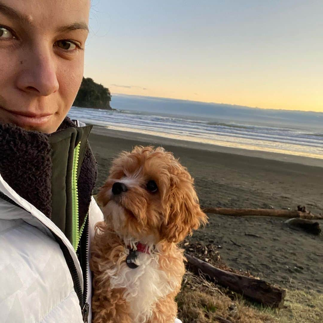 リサ・キャリントンのインスタグラム：「The newest edition to the whānau. Meet Colin. #cavoodle #13weeksyoung #puppy #dogsofinstagram」