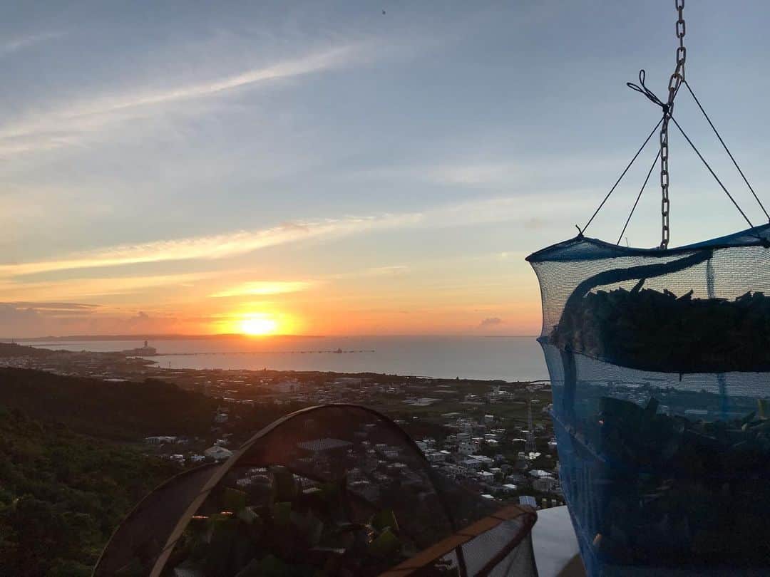 のインスタグラム：「7/19 お天道様、今日もよろしくお願いします！」