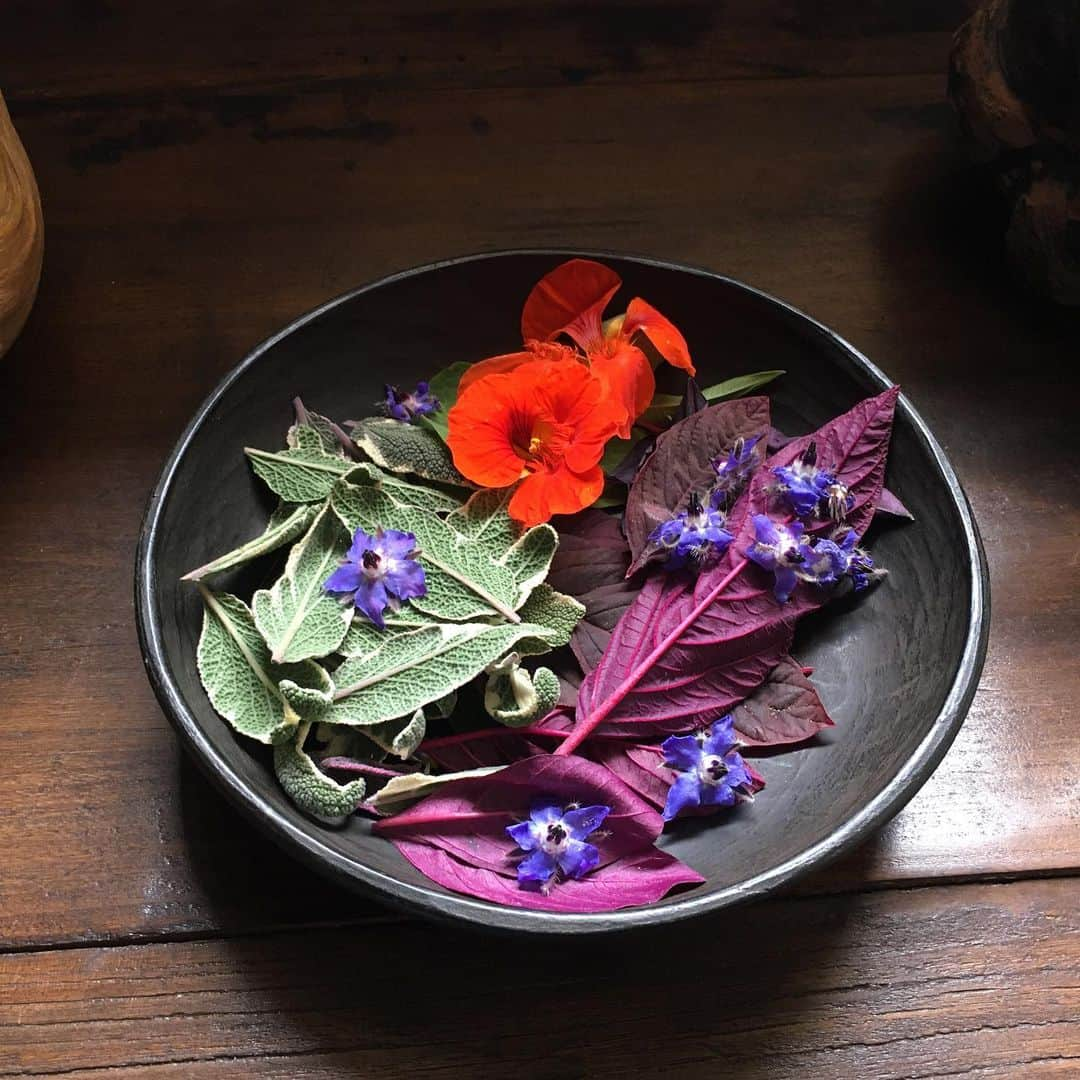 スタナ・カティックさんのインスタグラム写真 - (スタナ・カティックInstagram)「RANDOM SHARING #6:  Friend: “Whadya gonna have for lunch?”  Me: “Flowers 🌺🌸🌼🌻💐🌷🌹”  Sounds weird, doesn’t it? 😊 There are loads of edible flowers you can forage for or grow. Nasturtium, Calendula, Borage... a few of my go-to’s.  x S👩🏻‍🌾」7月19日 5時59分 - drstanakatic