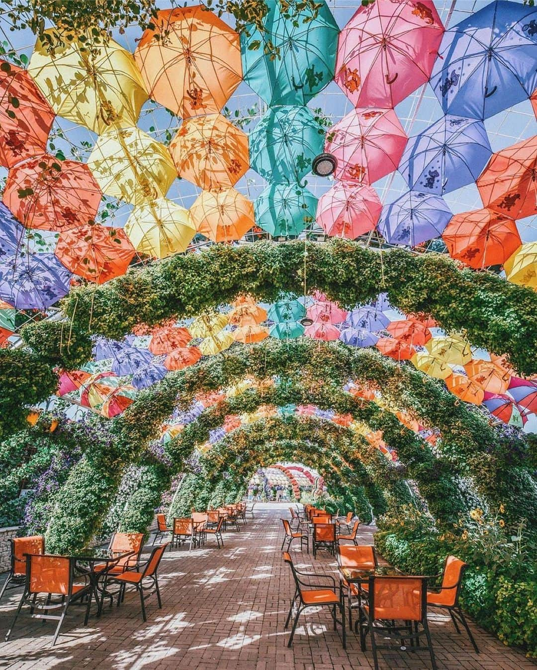 Earth Picsさんのインスタグラム写真 - (Earth PicsInstagram)「Dubai Miracle Garden - photo by @iamtravelr」7月19日 6時12分 - earthpix