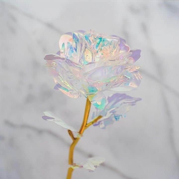 Tomomi Teradaのインスタグラム：「inspo🌹🌈というかこれ欲しい」