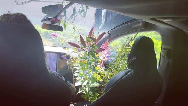 のインスタグラム：「Back Seat Gardener 🌸」