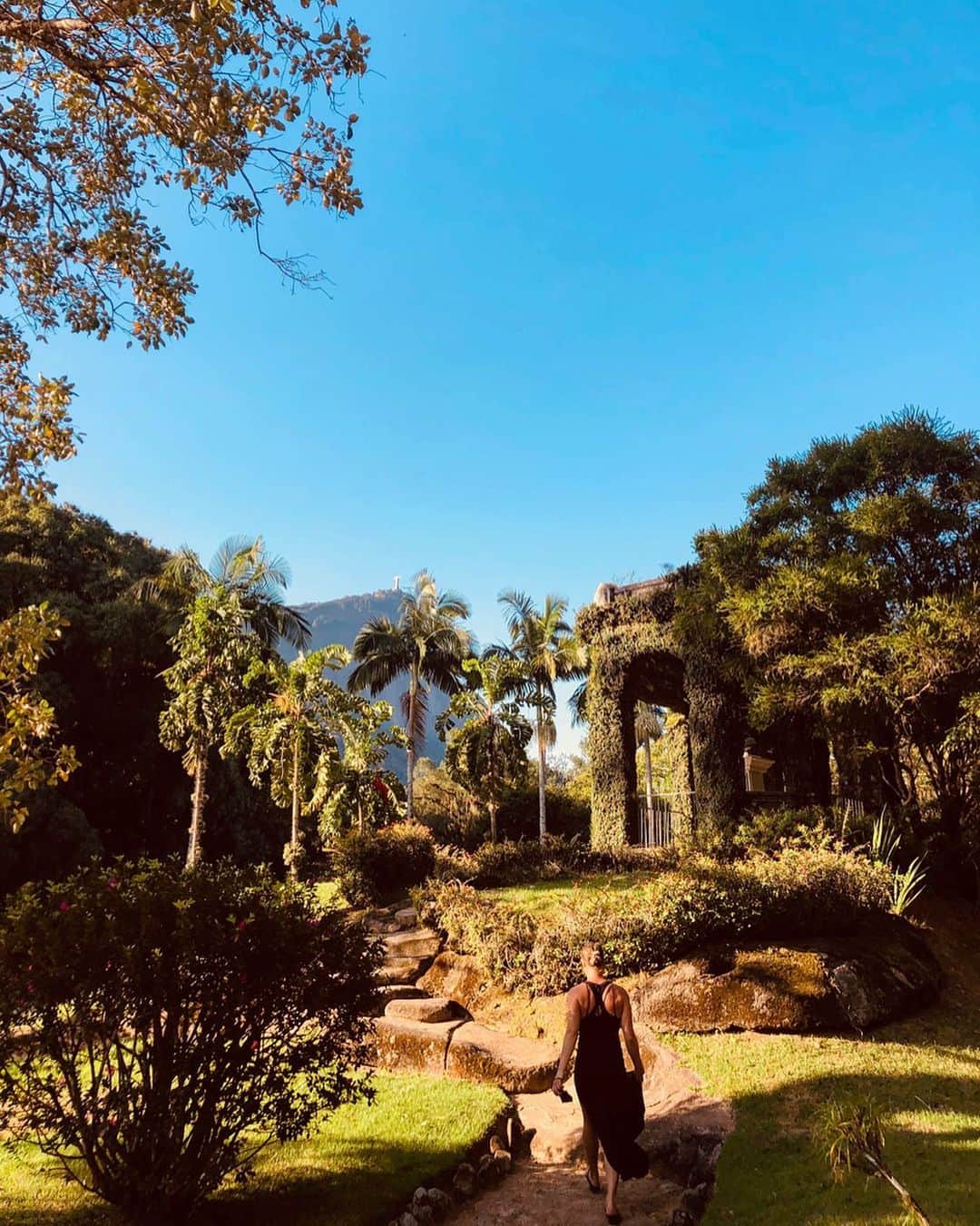 のインスタグラム：「secret garden 🍃🌴🐝」