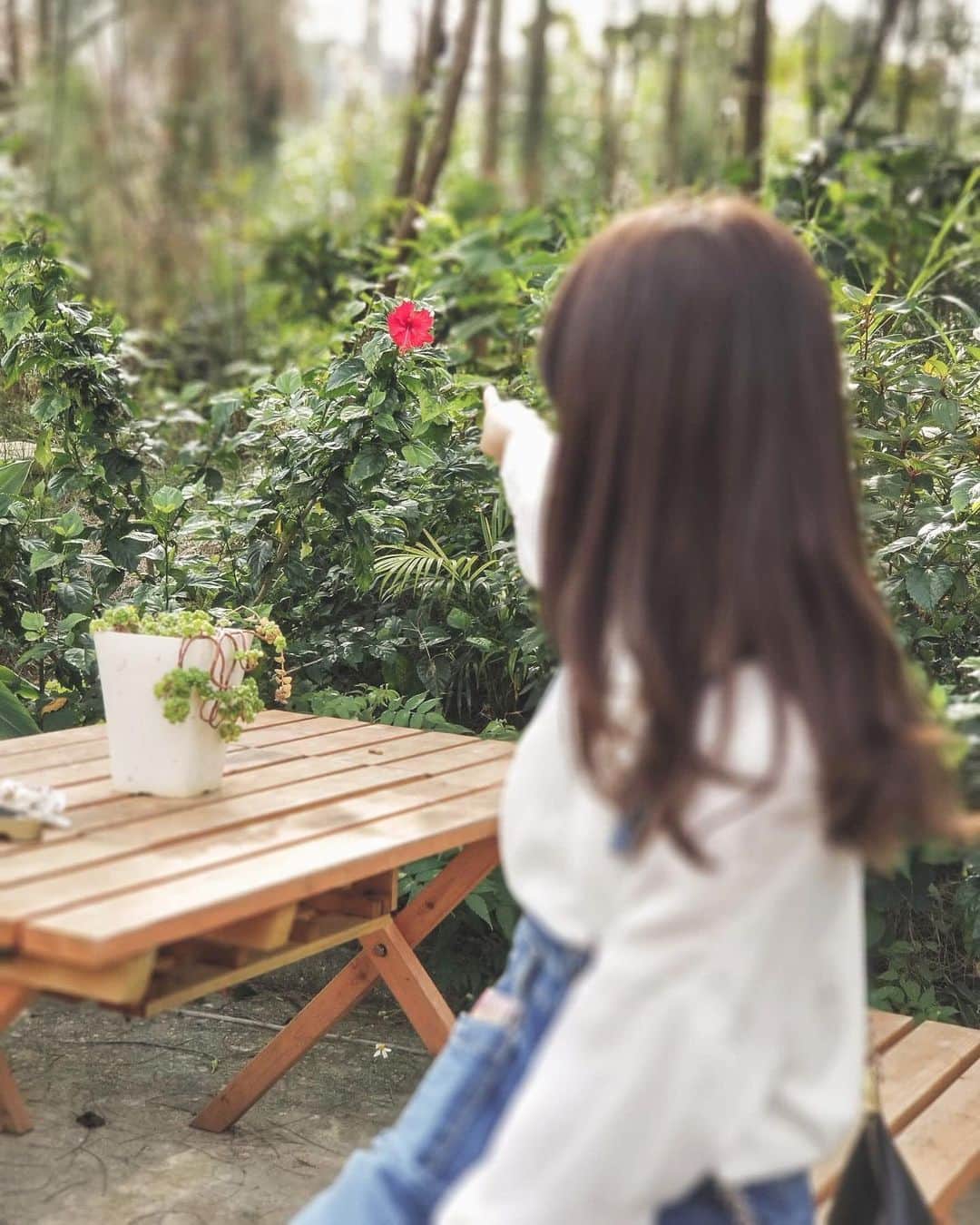 yuu sakuraiさんのインスタグラム写真 - (yuu sakuraiInstagram)「おはようございます⭐︎ MK CAFEのオーナーは、 お花が綺麗ですねというと、 優しそうに笑う。  お花が綺麗だと気付ける気持ちの余裕を 仲間が持ててることが嬉しいって。  みんなには、笑ってて欲しいって。  私の母は幼稚園の先生で、 小さい頃から私に優しい気持ちを持つように魔法をかけて育ててくれました。  小さい時は、将来 魔法使いになって困っている人におまじないをして助けるのが私の使命だとすら本気で思ってた。  夢みがちで、人をすぐに信じて、 でも、現実はバカにされる事の方が多かった。  大人になって MK CAFEのオーナーに出逢ってはじめて 人に頼られるには、 喜ぶ事を提供出来る様になるには、  『力』をつけなきゃいけない事を ちゃんと向き合って教えてくれました。  努力を惜しまず、 相手の立場になって物事を考え それを継続し続ける事。  その事を私に伝える為に 相当なパワーを使ってくれた。  今も。出会った頃と変わらずに体力も時間もお金も惜しまず、 仲間には本当に幸せな人生を送って欲しいと思うからと周りの方を喜ばす為に必要な常識を伝え続けてくれます。  本当にの意味での優しい人って。 例え嫌われたとしても、 相手を1番に考え大切な事を伝えてくれるひとだと思います。  これからもずっと。 大切にしたいです。  生きるって簡単じゃない。 だからこそ、楽しい。  当たり前じゃない今日に感謝して、 今日も過ごしていきます。  #フードコーディネーター #flower #花 #生きる #beautiful」7月19日 7時58分 - food_yuu