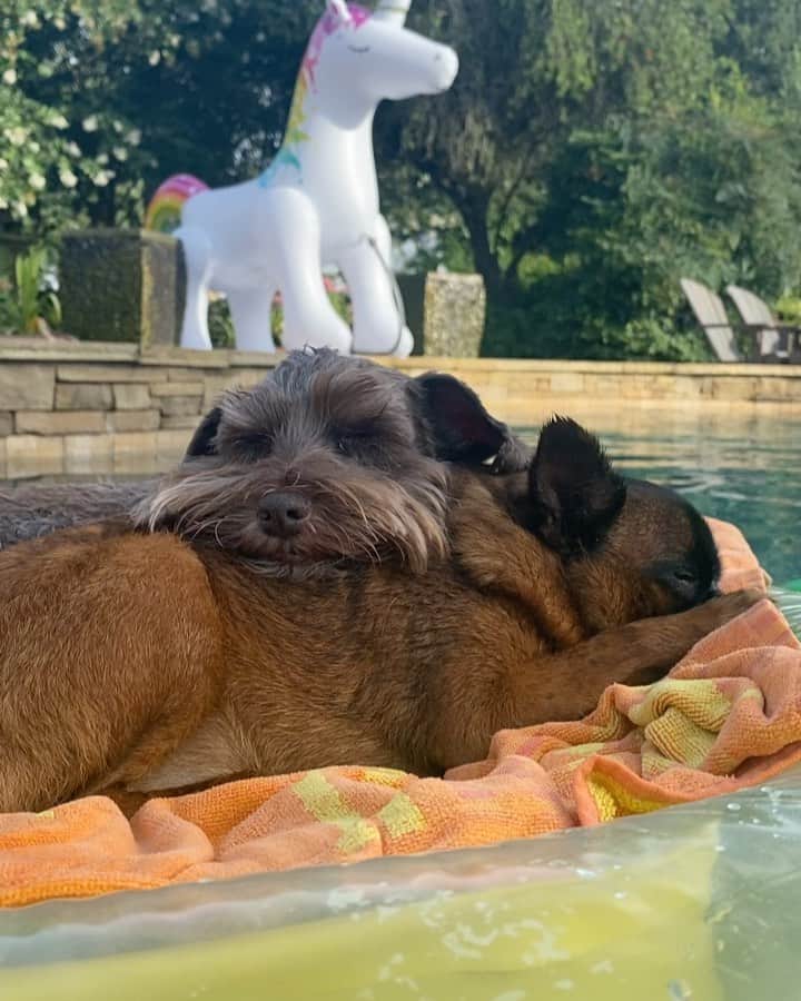のインスタグラム：「Happy Saturday 🙃」